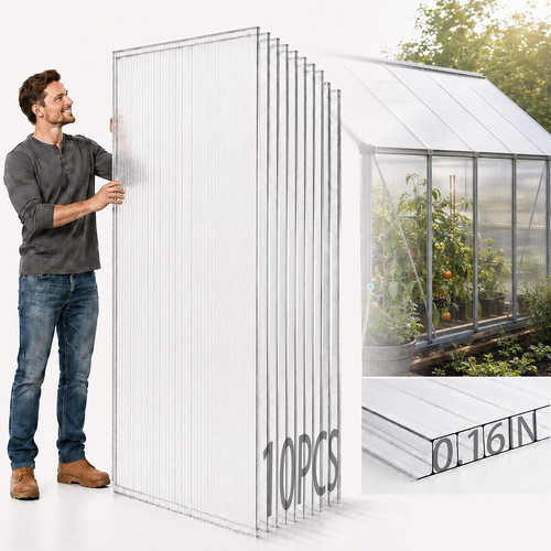 Pack polycarbonate - 10,