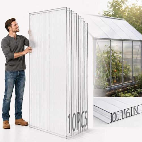 Pack polycarbonate - 10,