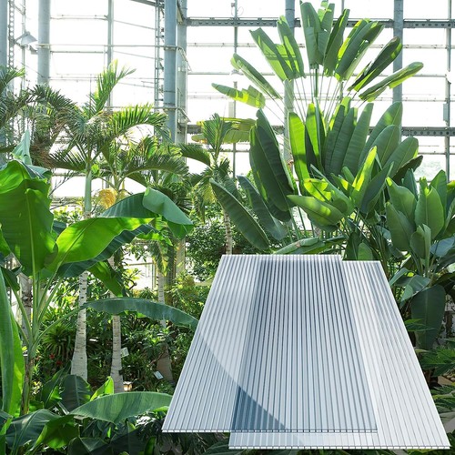 Polycarbonate greenhouse - 12×polycarbonate,
